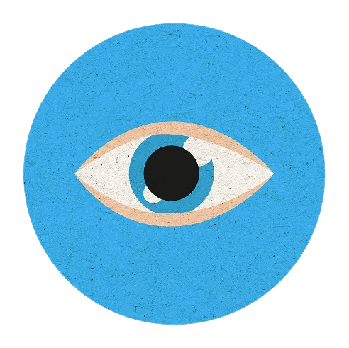 Vision